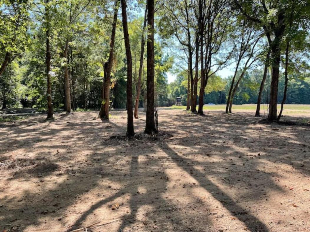 Charming Tiny Home! Close To Oxford, Sardis Lake, Safari Animal Zoo Exterior photo