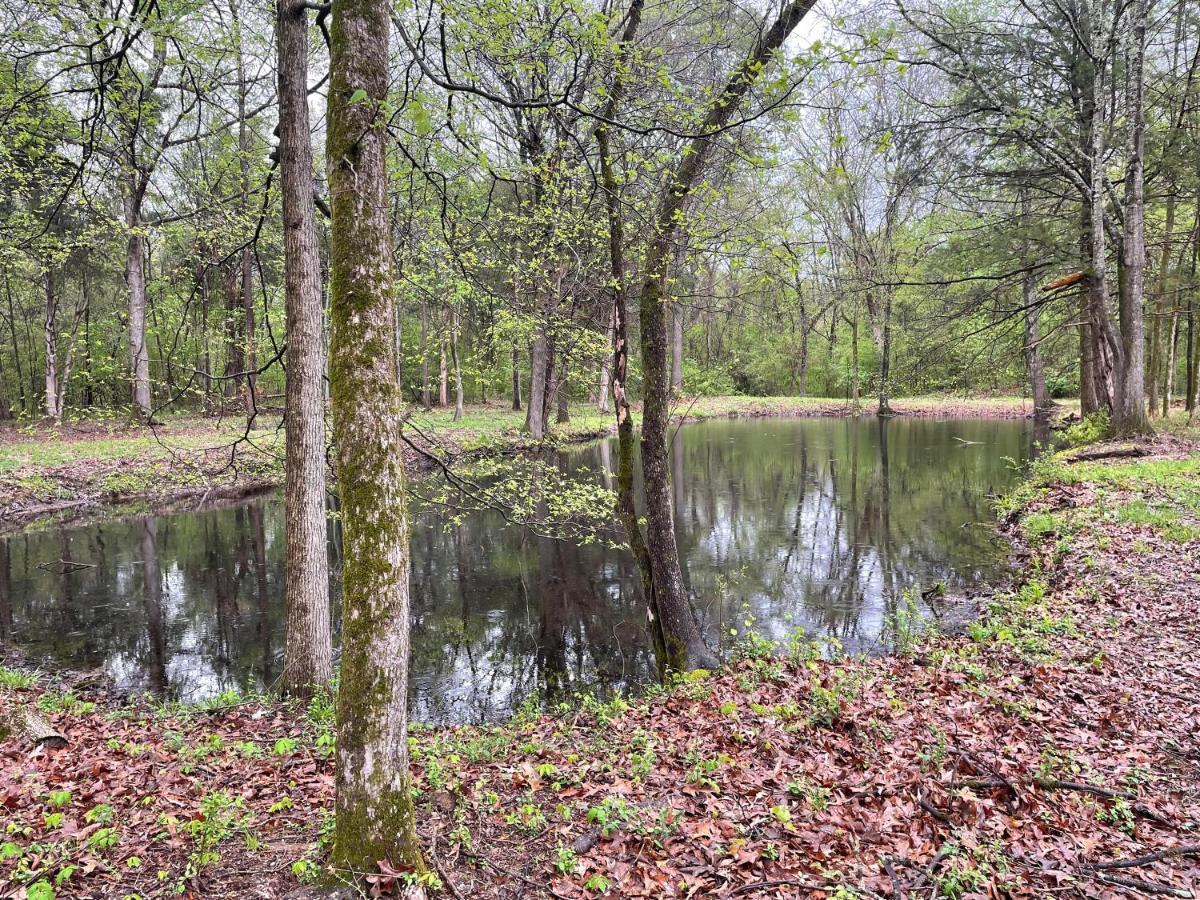 Charming Tiny Home! Close To Oxford, Sardis Lake, Safari Animal Zoo Exterior photo